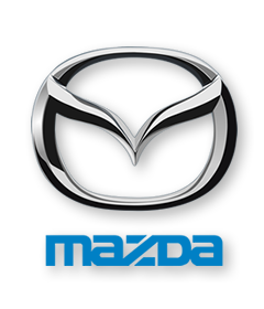 automotive manufacturer 