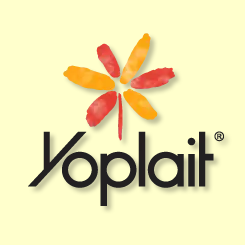 franchise brand of yogurt