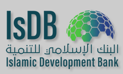 Islamic finance for infrastructure development 