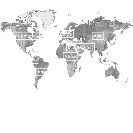 Access to WTO members and explore new business areas globally